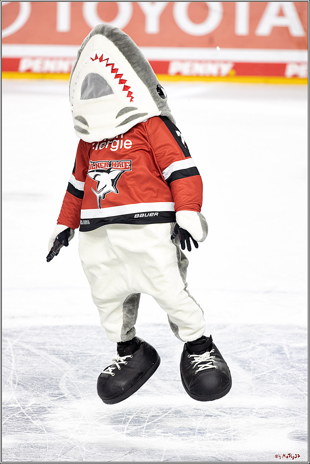 PENNY DEL;  Koelner Haie - Bietigheim Steelers; Koeln, 19.11.2021